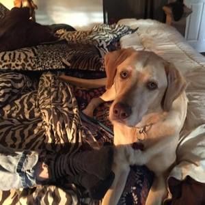 Meet your Posher, Barbara